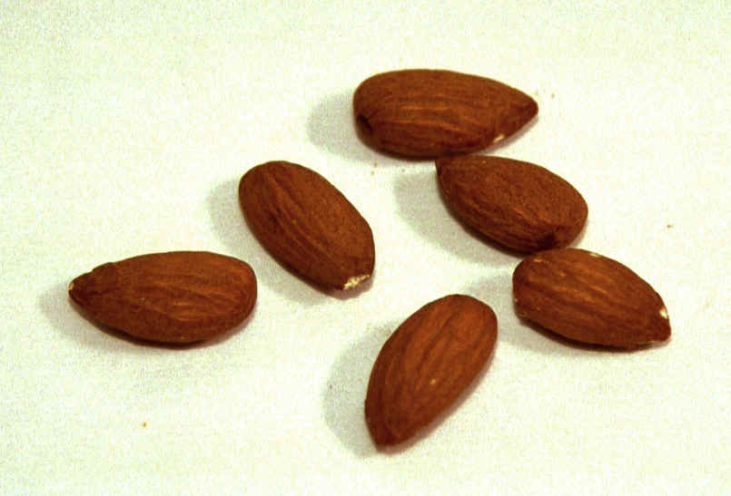 Almonds Prunus amygdalus A nut of Near Eastern origin